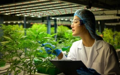 Distribution Regulations and Best Practices for Cannabis Distributors