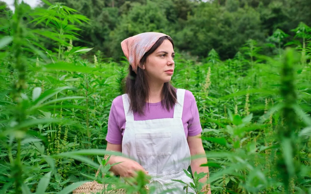 young woman in a cannabis plantation
